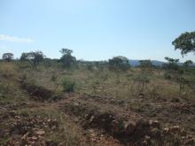 Ditch cutting through ABW site