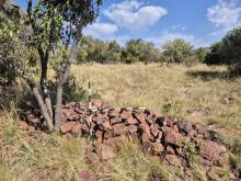 Iron Age stone walling